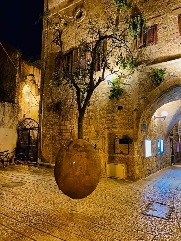 Gasthof Jaffa Seaside House Tel Aviv-Jaffa